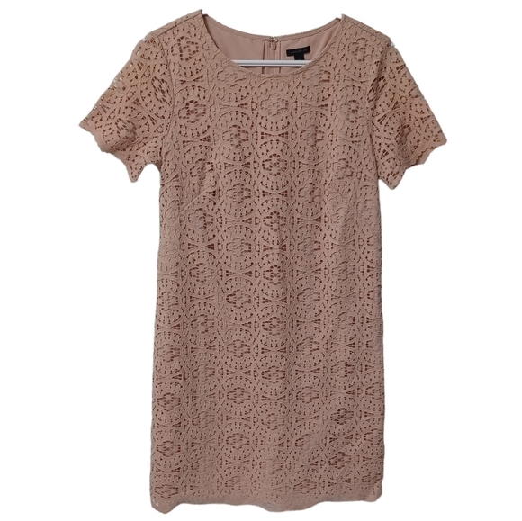 ANN Taylor Blush Lace Midi dress - Picture 2 of 5